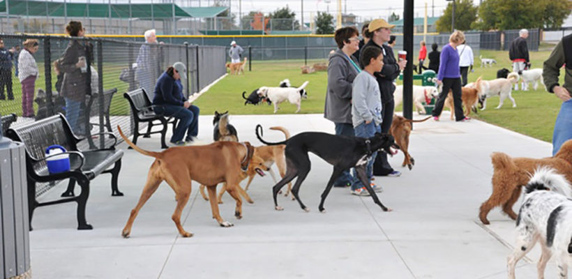 MacArthur-Dog-Park-13