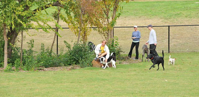 MacArthur-Dog-Park-15