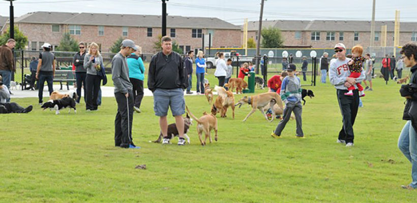 MacArthur-Dog-Park-17