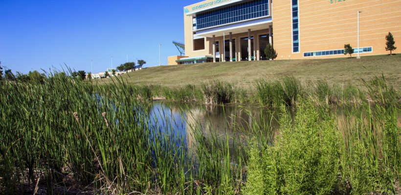 UNT Stadium Pond 2017 (5)